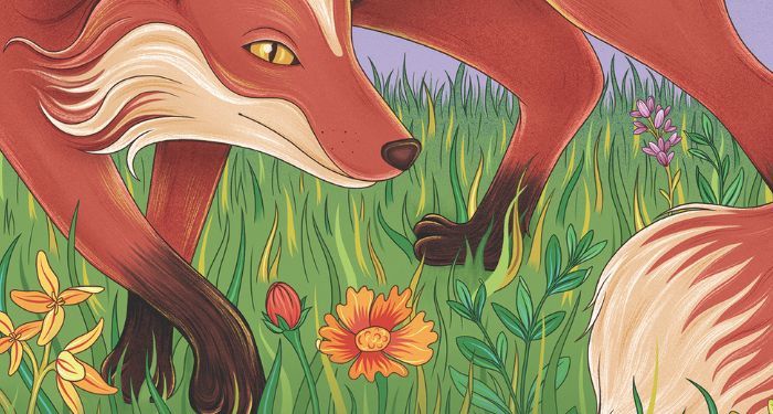 and too the fox cover cropped.jpg.optimal