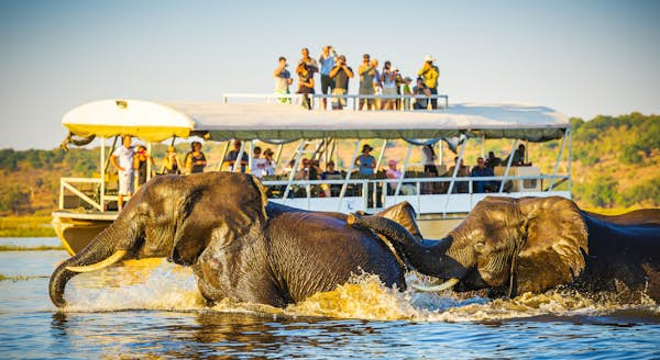 Botswana Chobe THP Creative shutterstock 470543444 RFE