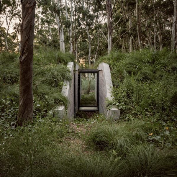 forest house argentina gonzalo bardach arquitectura dezeen 2364 sq 1