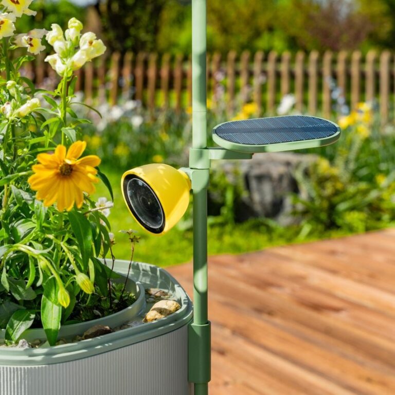 petal nature camera wonder blocks bird buddy design dezeen 2364 sq 852x852